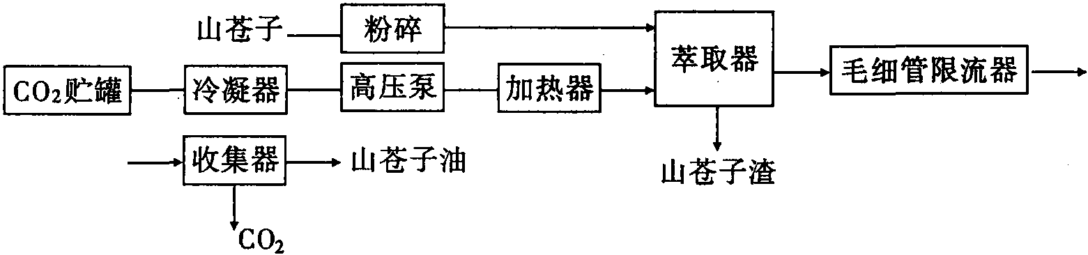 萃取山苍子油实验的工艺流程